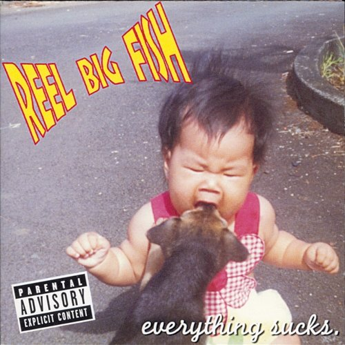 Everything Sucks Reel Big Fish