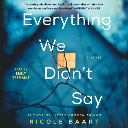 Everything We Didn't Say - audiobook Nicole Baart