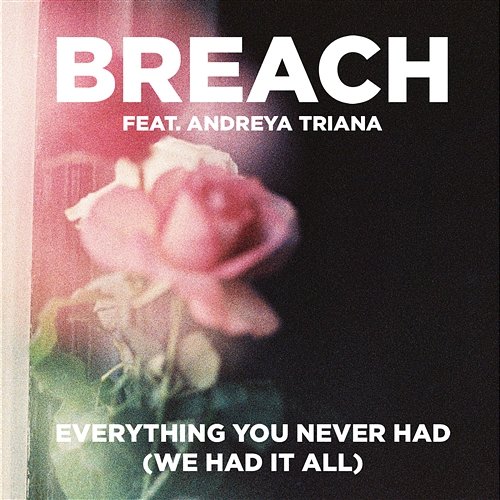 Everything You Never Had (We Had It All) Breach