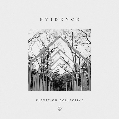 Evidence Elevation Collective