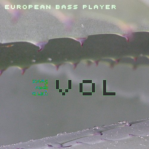 Evol European Bass Player