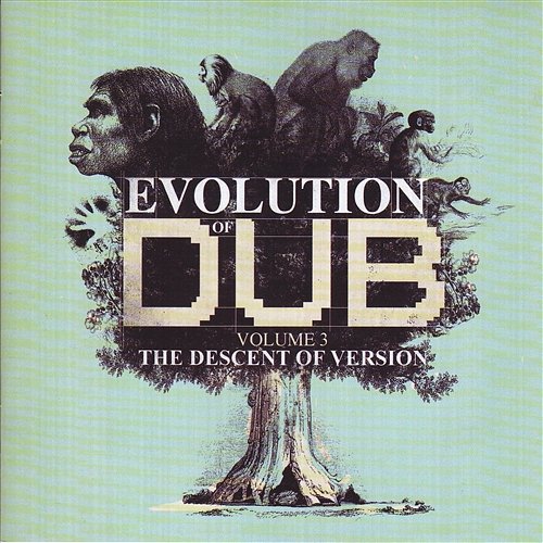 Evolution Of Dub Vol 3 Various Artists