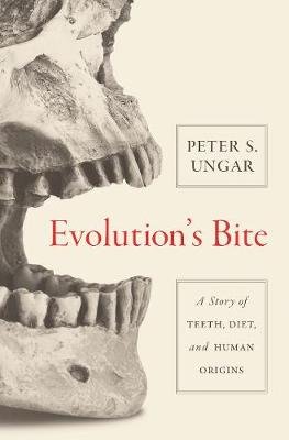 Evolution's Bite Ungar Peter S.