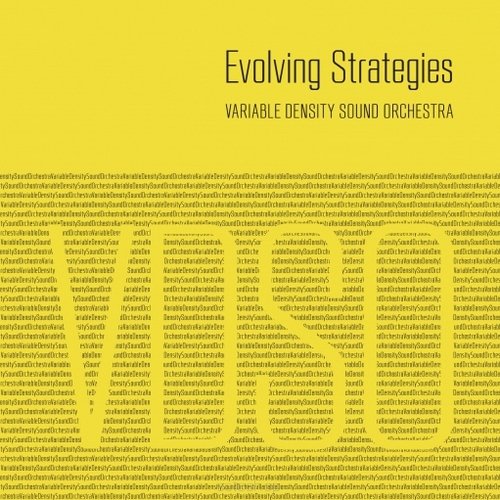 Evolving Strategies VDSO Variable Density Sound Orchestra, Swell Steve