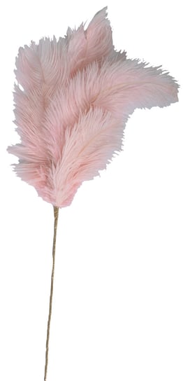 EWAX, Pióro strusie jasno różowe 67cm Ewax