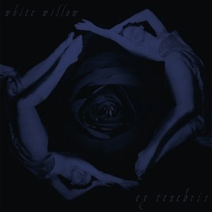 Ex Tenebris White Willow