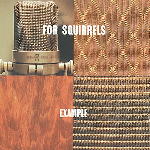 Example For Squirrels