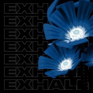 Exhale Va004 (Part 1), płyta winylowa Various Artists
