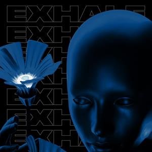 Exhale Va004 (Part 2), płyta winylowa Various Artists