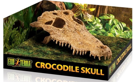 Exo Terra Crocodile Skull (Czaszka Krokodyla) Exo Terra