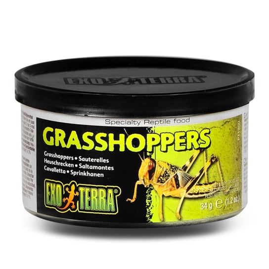 Exo Terra Grasshoppers - Pokarm W Puszce Konik Polny Exo Terra