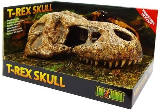 Exo Terra T-Rex Skull (Czaszka Dinozaura) Exo Terra