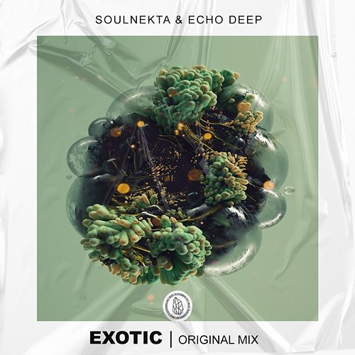 Exotic Soulnekta and Echo Deep