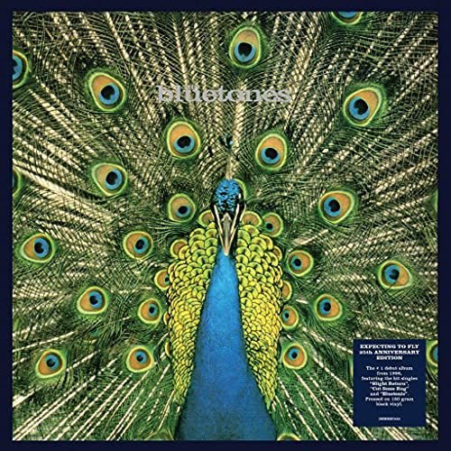 Expecting To Fly - 25th Anniversary Edition, płyta winylowa Bluetones