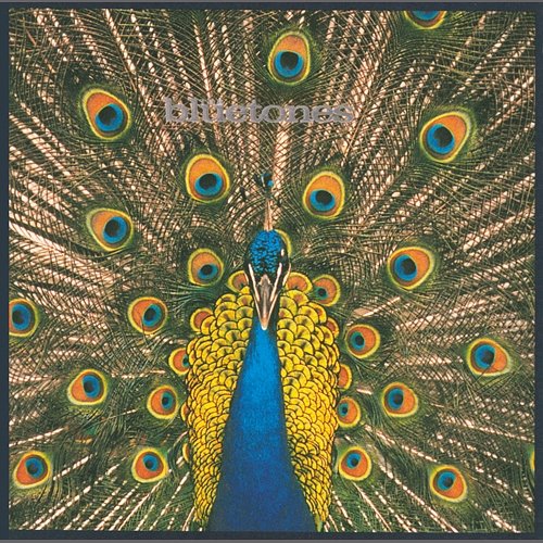 Expecting To Fly The Bluetones