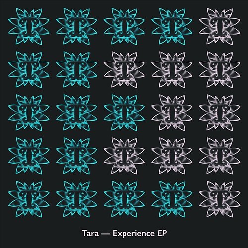 Experience EP Tara