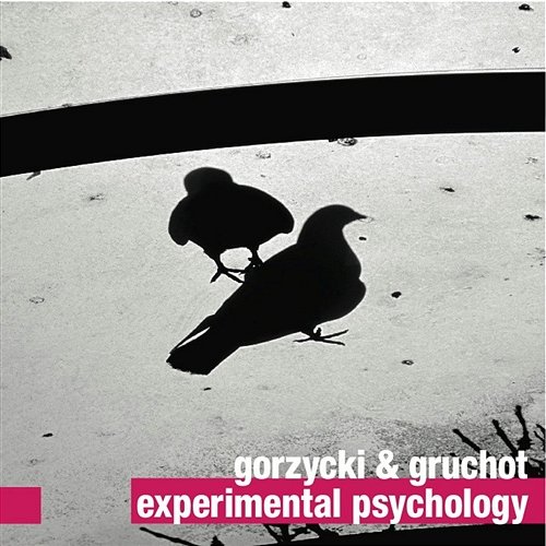 Experimental Psychology Gorzycki & Gruchot