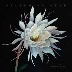 Exploding Star, płyta winylowa Maloney Heather