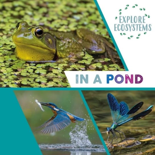 Explore Ecosystems: In a Pond Ridley Sarah