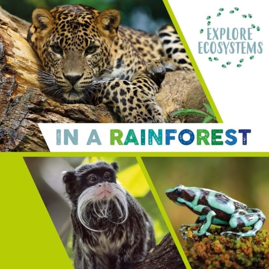Explore Ecosystems: In a Rainforest Ridley Sarah