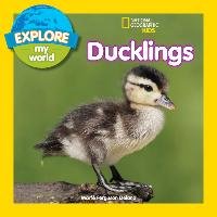 Explore My World: Ducklings Delano Marfe Ferguson