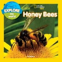 Explore My World: Honey Bees Esbaum Jill