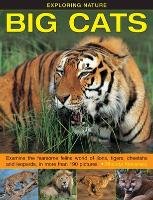 Exploring Nature: Big Cats Klevansky Rhonda