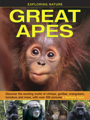 Exploring Nature: Great Apes Taylor Barbara