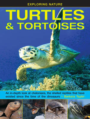 Exploring Nature: Turtles & Tortoises Taylor Barbara