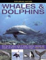 Exploring Nature: Whales & Dolphins Kerrod Robin