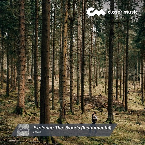 Exploring the Woods Cairis