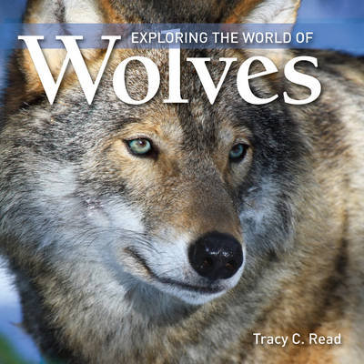Exploring the World of Wolves Read Tracy C.