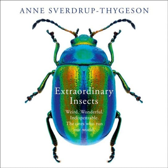 Extraordinary Insects: Weird. Wonderful. Indispensable. The ones who run our world. Sverdrup-Thygeson Anne