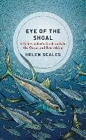 Eye of the Shoal Scales Helen