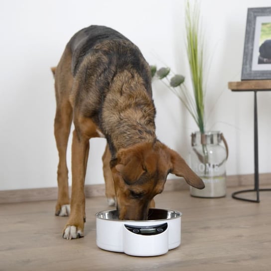 EYENIMAL Inteligentna miska dla psa z wbudowaną wagą, 1,8 L, biała Eyenimal