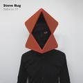 fabric 37: Steve Bug Steve Bug