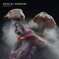 FABRICLIVE 91: Special Request Special Request