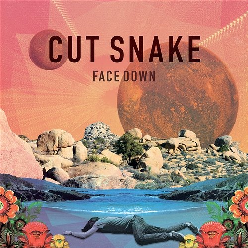 Face Down Cut Snake