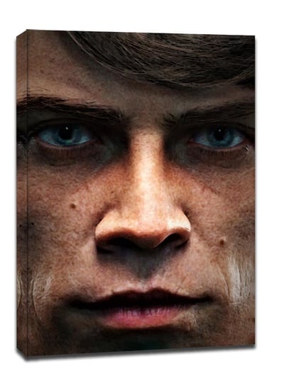 Face It! Star Wars Gwiezdne Wojny - Luke Skywalker - obraz na płótnie 20x30 cm Galeria Plakatu