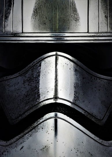 Face It! Star Wars Gwiezdne Wojny - Phasma - plakat 59,4x84,1 cm Galeria Plakatu