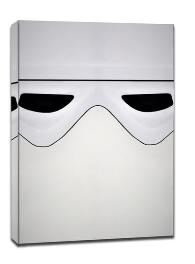 Face It! Star Wars Gwiezdne Wojny - Snow Trooper - obraz na płótnie 20x30 cm Galeria Plakatu