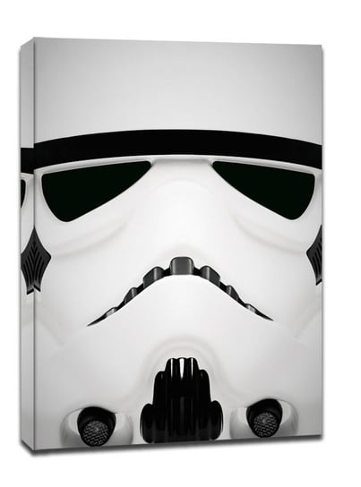 Face It! Star Wars Gwiezdne Wojny - Stormtrooper - obraz na płótnie 40x50 cm Galeria Plakatu