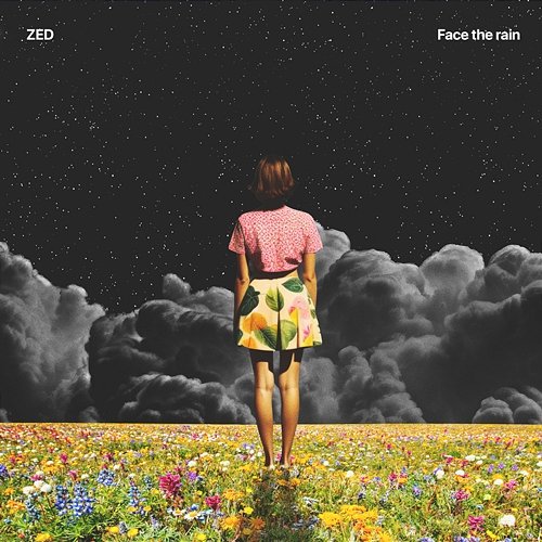 Face the Rain Zed