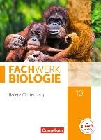 Fachwerk Biologie 10. Schuljahr - Baden-Württemberg - Schülerbuch Hampl Udo, Marquarth Andreas, Pohlmann Anke