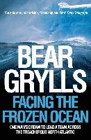 Facing the Frozen Ocean Grylls Bear