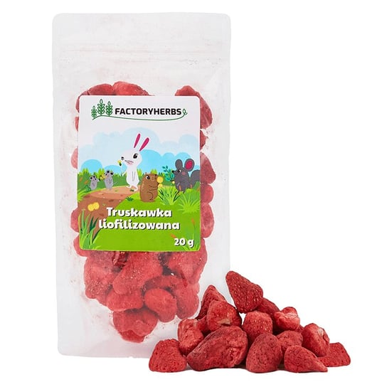 FACTORYHERBS Truskawki liofilizowane 20G FACTORYHERBS