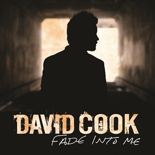 Fade Into Me David Cook