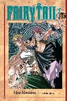 Fairy Tail 15 Mashima Hiro
