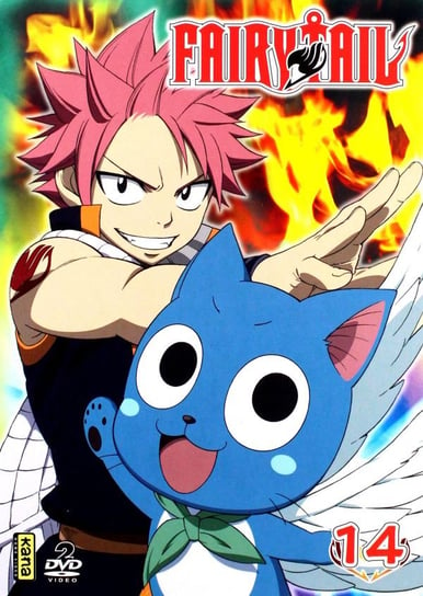 Fairy Tail vol. 14 Various Directors