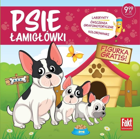 Fakt Kolorowanki Ringier Axel Springer Polska Sp. z o.o.